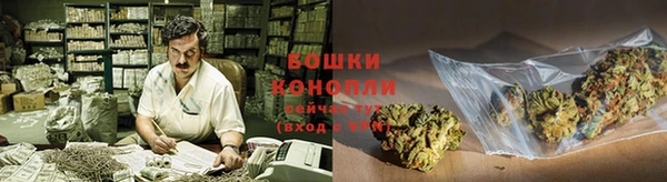 СК Михайлов