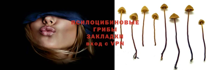 мяу мяу мука Михайловка