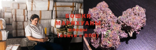 ГАЛЛЮЦИНОГЕННЫЕ ГРИБЫ Михайловск