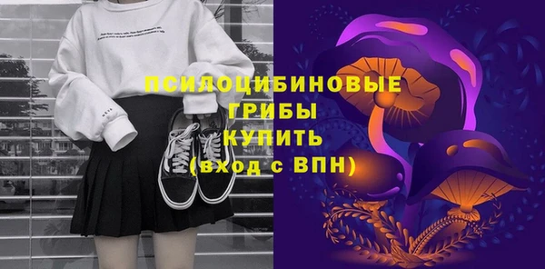 СК Михайлов
