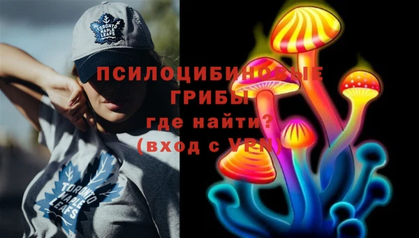 ГАЛЛЮЦИНОГЕННЫЕ ГРИБЫ Михайловск