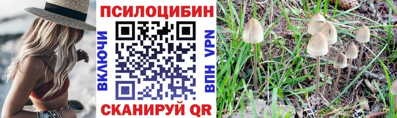 где можно купить наркотик  мега как зайти  Псилоцибиновые грибы Psilocybine cubensis  Всеволожск 