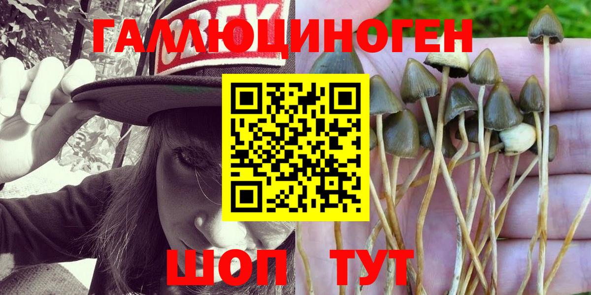 Всеволожск  Галлюциногенные грибы Magic Shrooms  Вход с VPN 